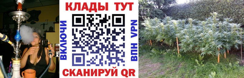 Лсд 25 Уржум