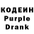 Кодеин Purple Drank DARGX