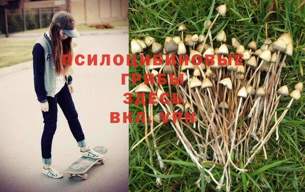 COCAINE Абаза